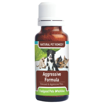 Homeopathic remedies hot sale for parvo