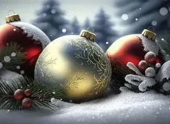CHRISTMAS GIFTING